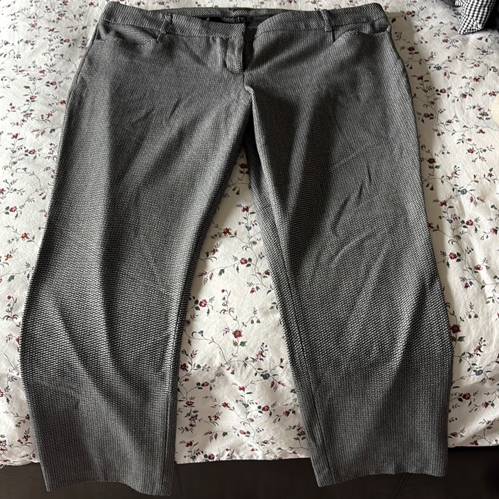 Express Columnist Gray Dress Pants with Classic Fit